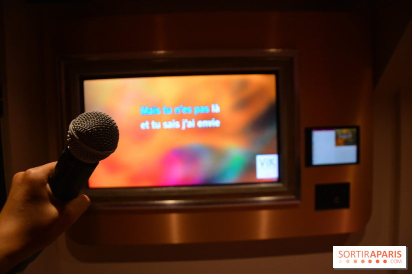VIK Karaoké Saint Michel