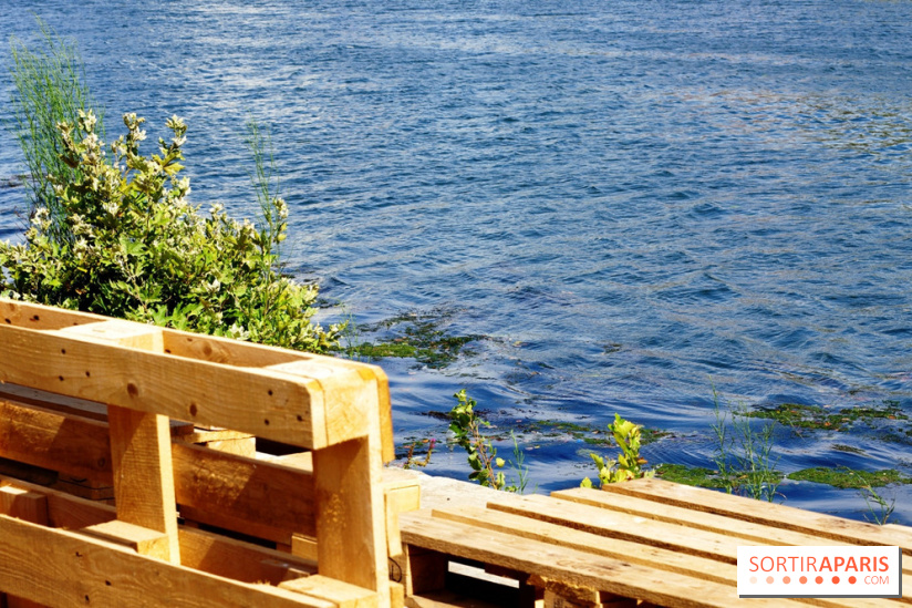 Rosa à l'Ouest : Rosa Bonheur sur les Quais d'Asnières-sur-Seine