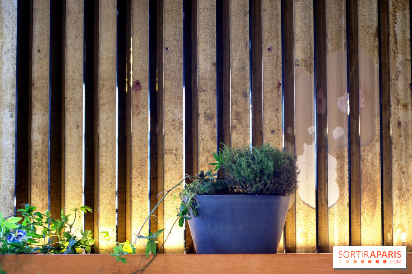 Les Grands Verres au Palais de Tokyo