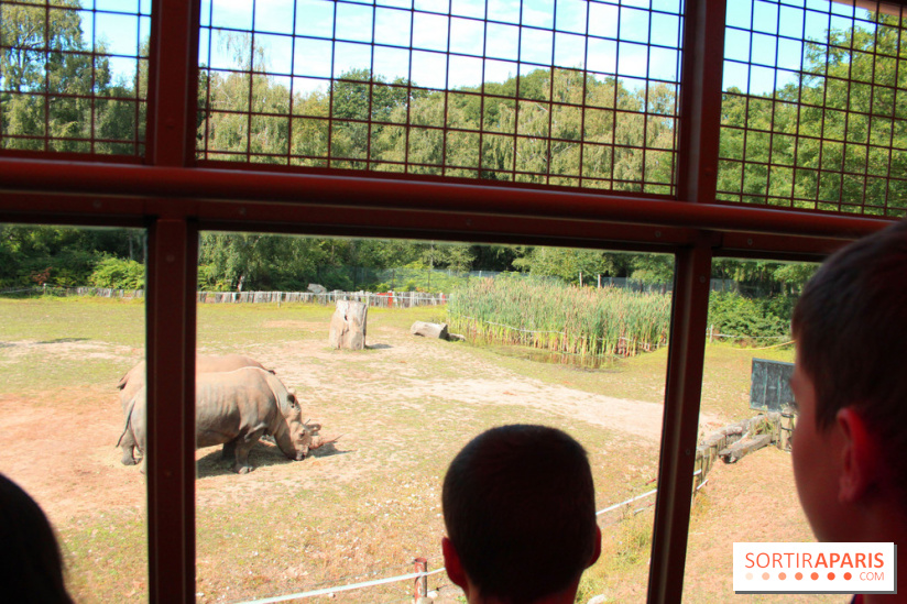Camion Safari : une visite guidée dans les coulisses de Thoiry