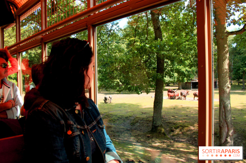 Camion Safari : une visite guidée dans les coulisses de Thoiry