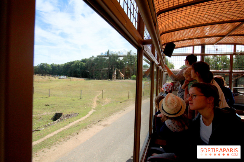 Camion Safari : une visite guidée dans les coulisses de Thoiry