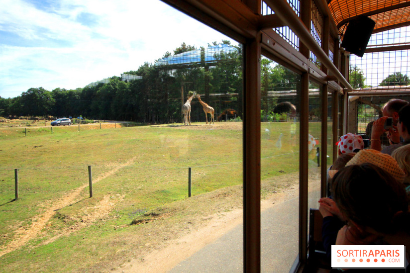 Camion Safari : une visite guidée dans les coulisses de Thoiry