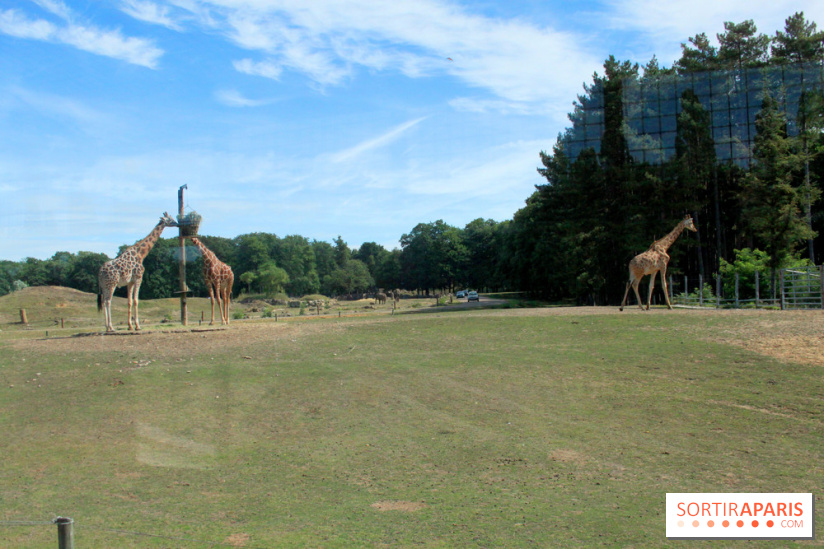 Camion Safari : une visite guidée dans les coulisses de Thoiry