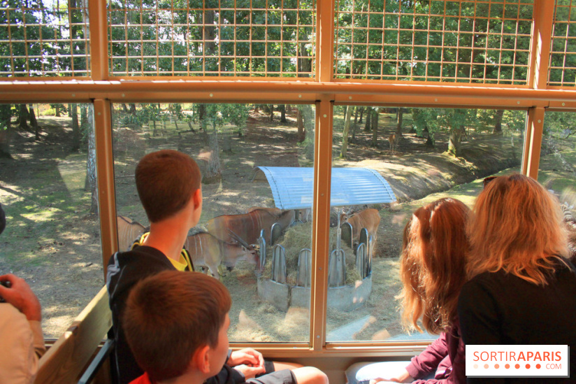 Camion Safari : une visite guidée dans les coulisses de Thoiry