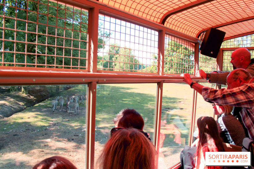 Camion Safari : une visite guidée dans les coulisses de Thoiry
