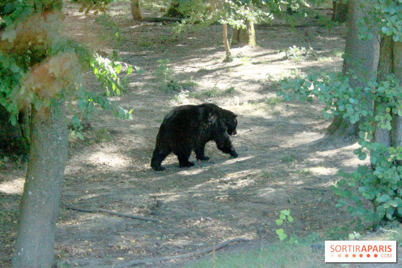 Camion Safari : une visite guidée dans les coulisses de Thoiry