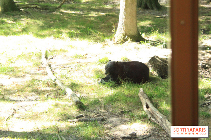 Camion Safari : une visite guidée dans les coulisses de Thoiry