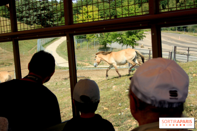 Camion Safari : une visite guidée dans les coulisses de Thoiry