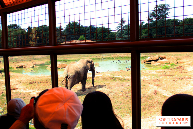 Camion Safari : une visite guidée dans les coulisses de Thoiry