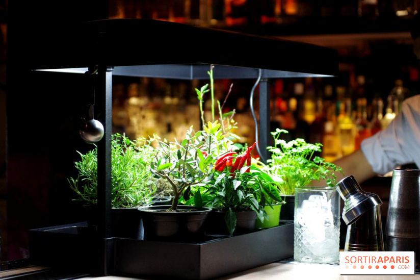 No Entry : le bar speakeasy de Pink Mamma