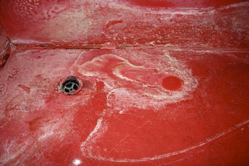 Nuits blanches et chambres noires