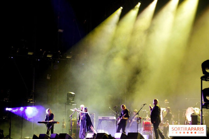 Rock En Seine 2017 : PJ Harvey