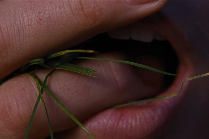 Hurlevent : Margot Robbie et Jacob Elordi au cinéma en 2026