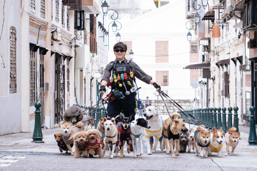 The Shadow’s Edge : Jackie Chan dans un thriller d’action