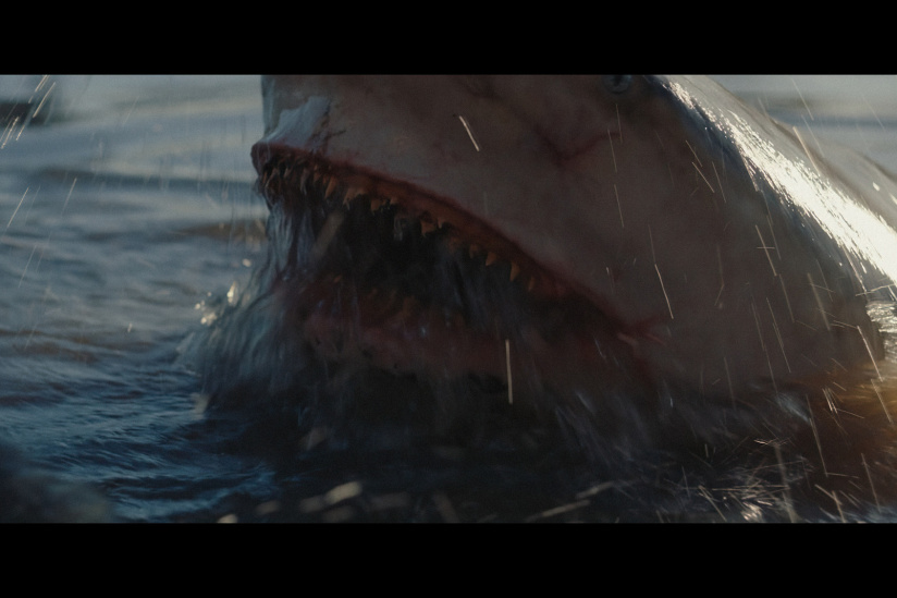 Fear Below : un thriller aquatique australien sur Paramount+