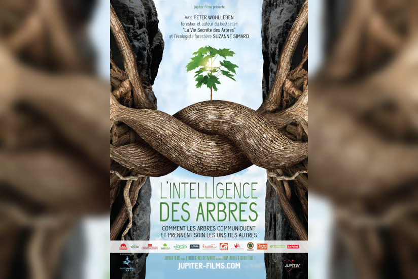 L'intelligence des Arbres : avant-premières et débats