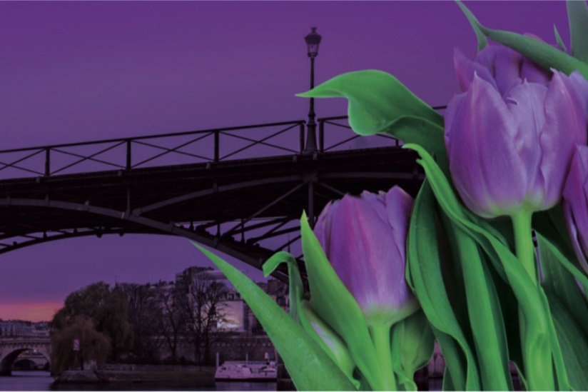 Des tulipes contre le cancer sur le Pont des Arts