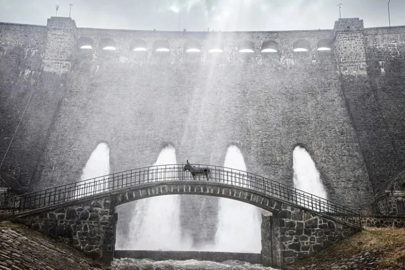 EO (HI-HAN) de Jerzy Skolimowski