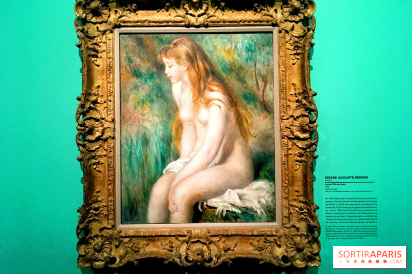 Monet Collectionneur, les photos de l'exposition 