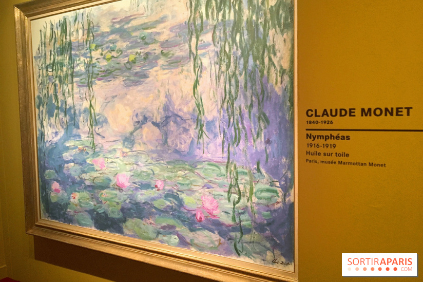 Monet Collectionneur, les photos de l'exposition 