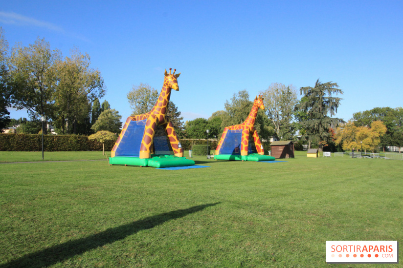 Ventes de voitures d'occasion à 'lhippodrome de St Cloud