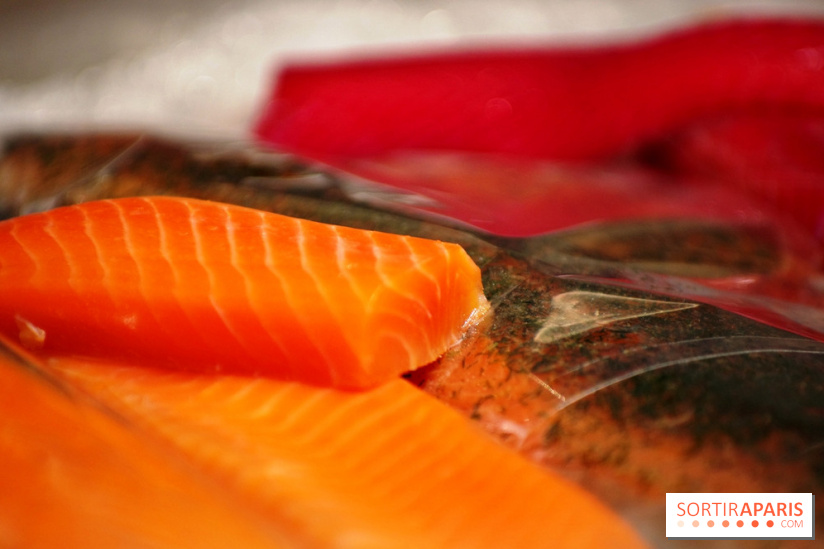 La Maison Nordique x Marin Montagut