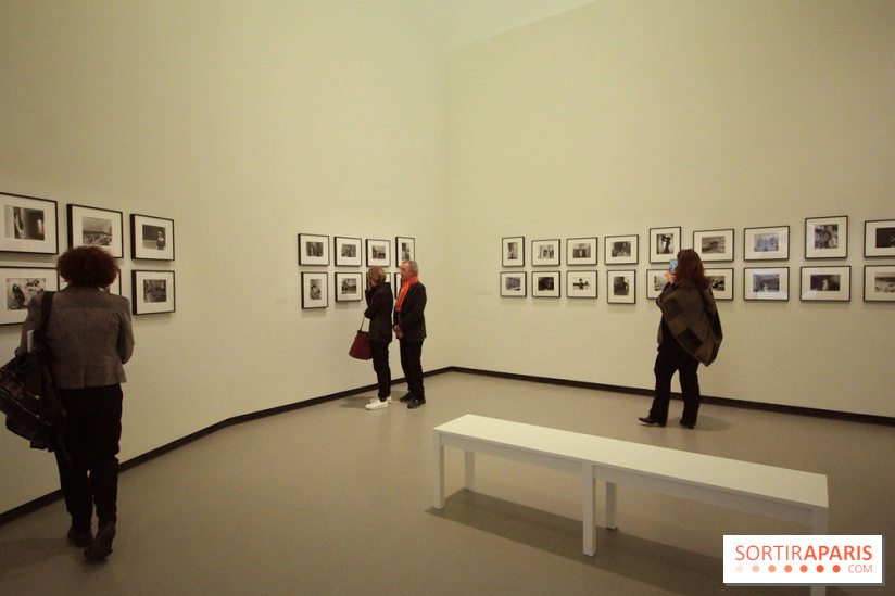 Le MoMA à la Fondation Louis Vuitton 