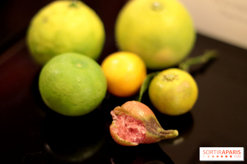 Le Limon : le nouveau resto de Juan Arbealez, les photos