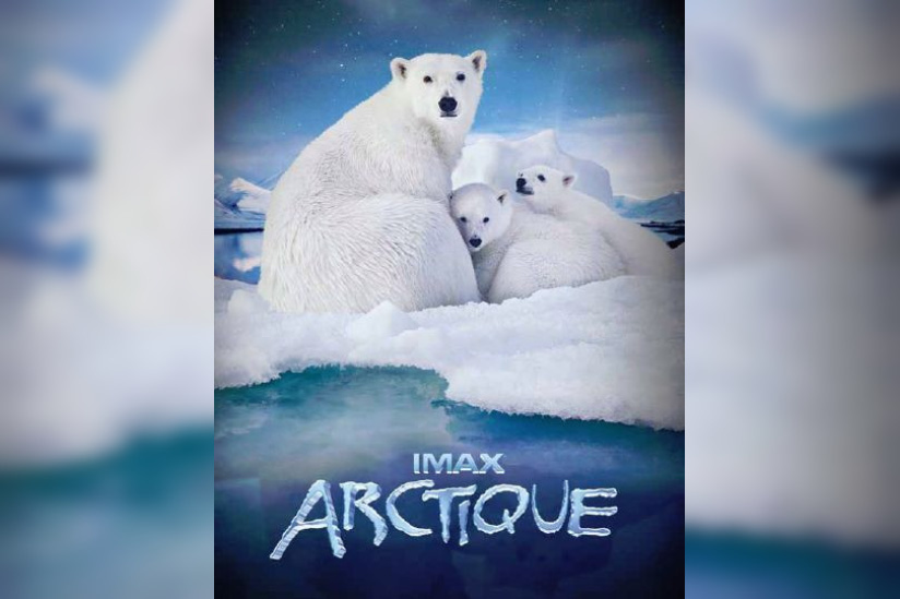 arctique