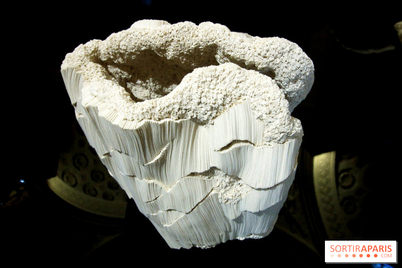 Un monde de plis à la chapelle Expiatoire