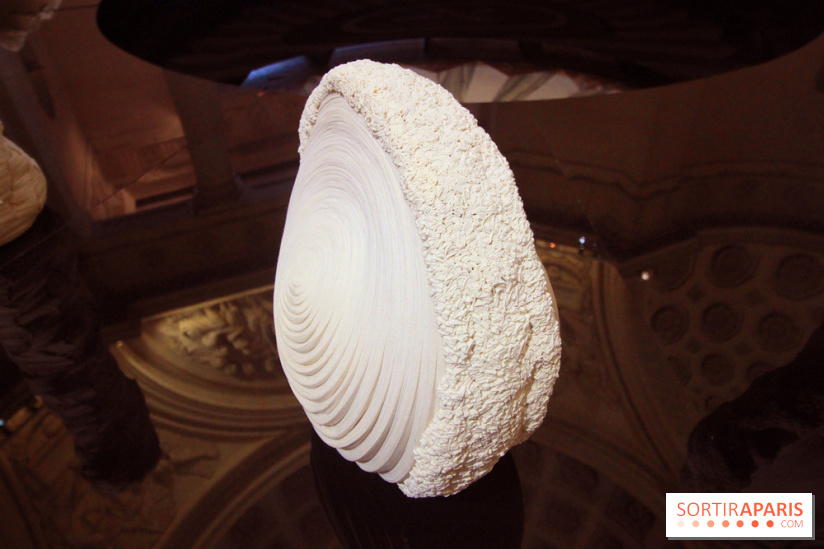 Un monde de plis à la chapelle Expiatoire