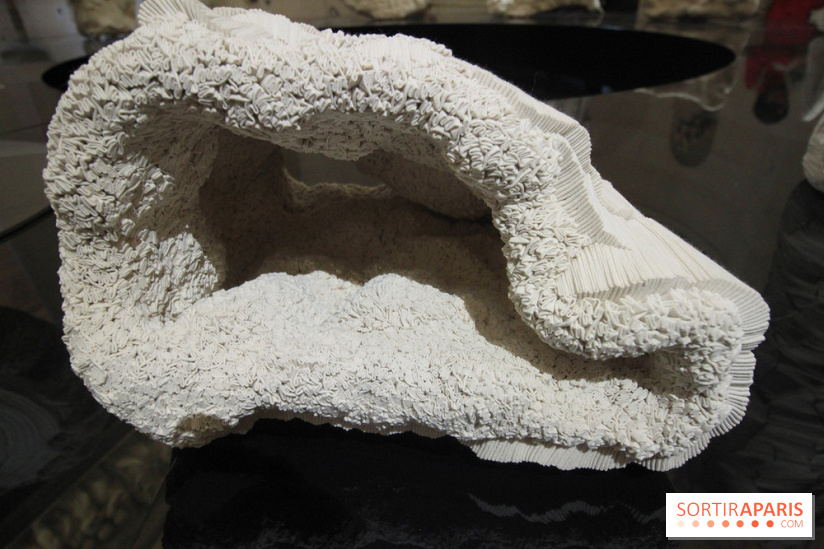 Un monde de plis à la chapelle Expiatoire