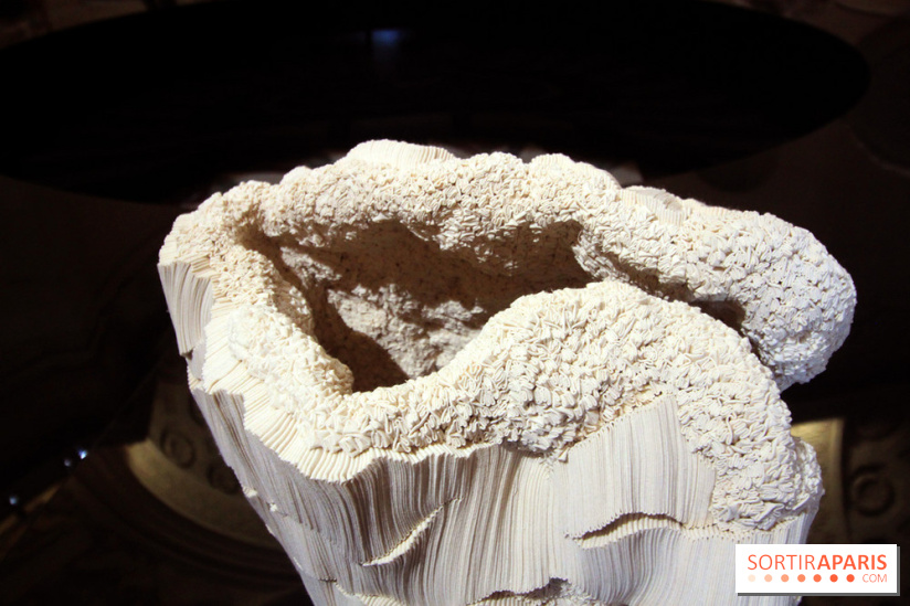 Un monde de plis à la chapelle Expiatoire