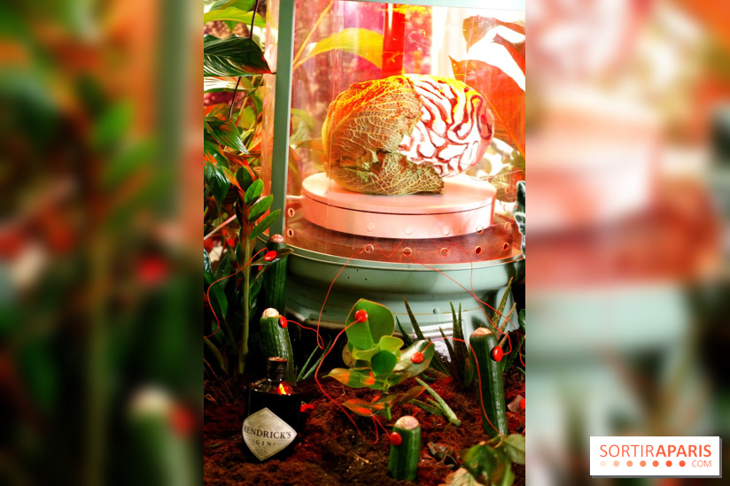 Chambers of the Curious, édition 2017, à l'Hôtel Particulier Montmartre