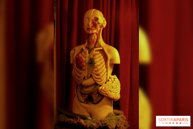 Chambers of the Curious, édition 2017, à l'Hôtel Particulier Montmartre