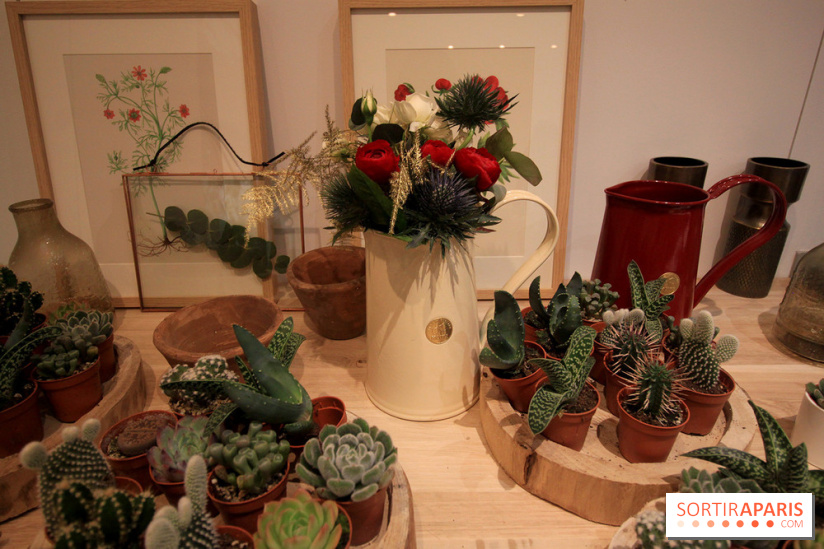 Le pop-up Store de Bergamotte