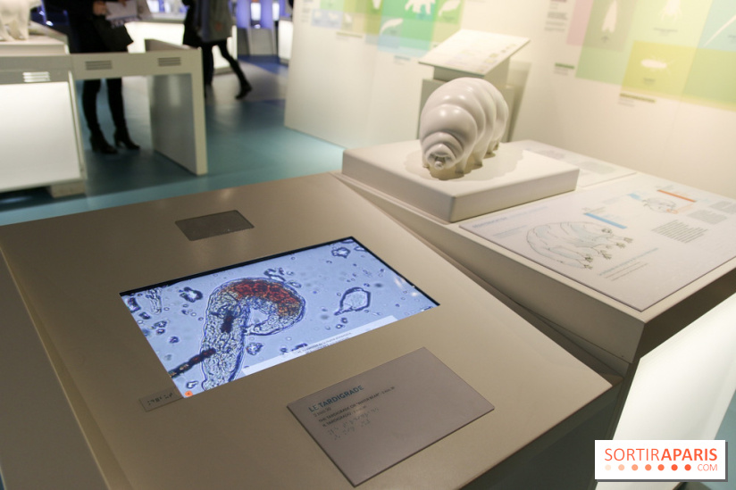 Froid à la Cité des Sciences