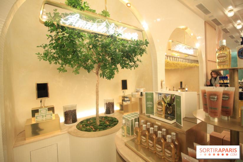 Le 86Champs, le nouveau salon de thé de Pierre Hermé