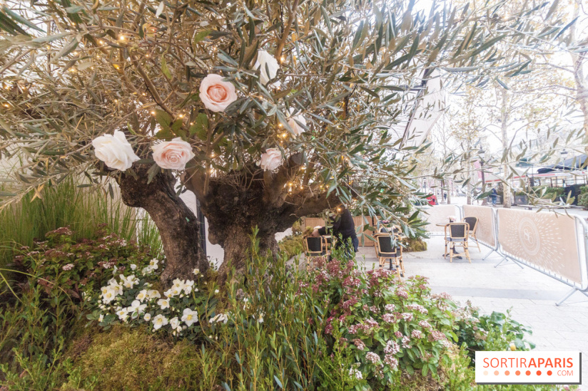 Le 86Champs, le nouveau salon de thé de Pierre Hermé