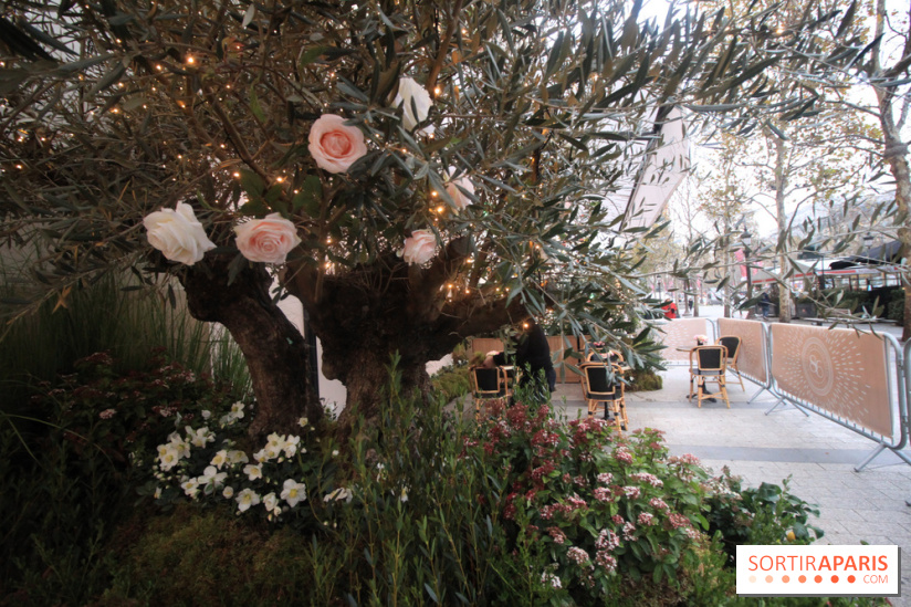 Le 86Champs, le nouveau salon de thé de Pierre Hermé