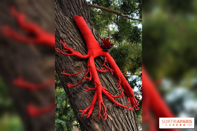 Marie BARBE - Fleur carnivore