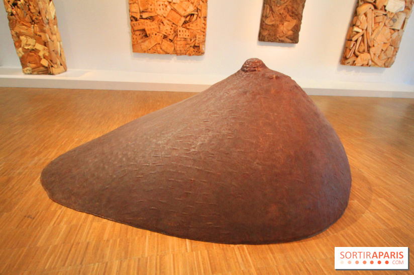 César, l'exposition au Centre Pompidou