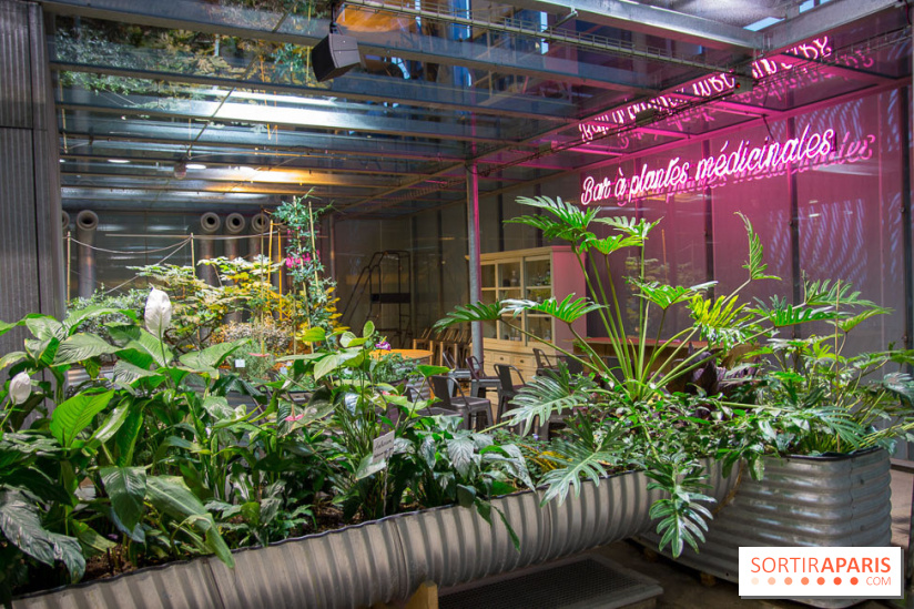 Patate, l'expo à la Cité des Sciences