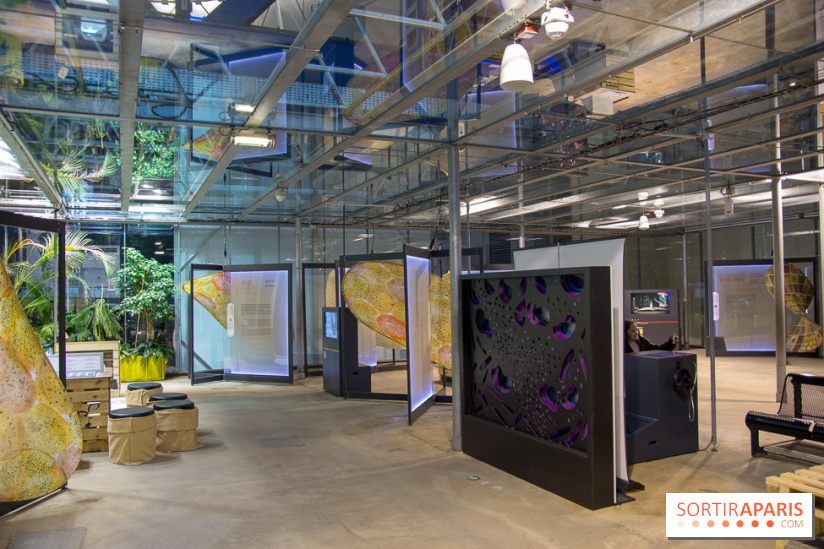 Patate, l'expo à la Cité des Sciences