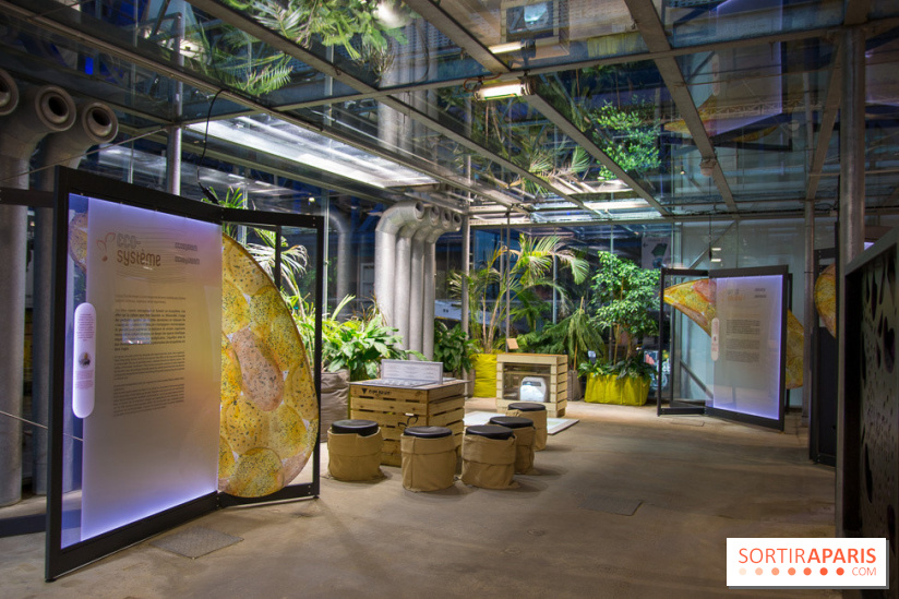 Patate, l'expo à la Cité des Sciences