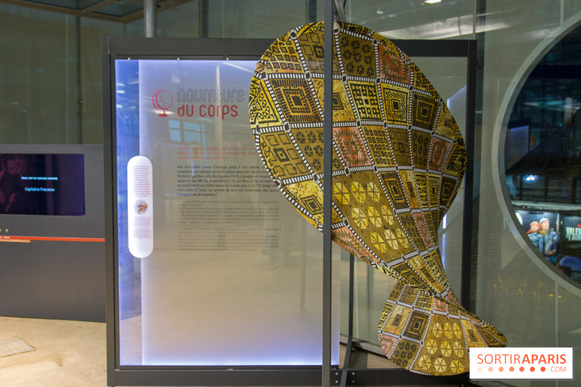 Patate, l'expo à la Cité des Sciences