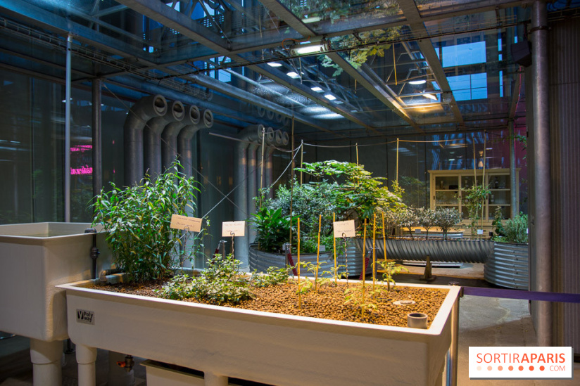 Patate, l'expo à la Cité des Sciences