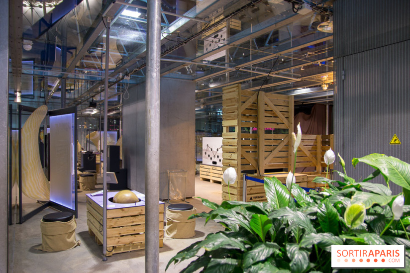 Patate, l'expo à la Cité des Sciences