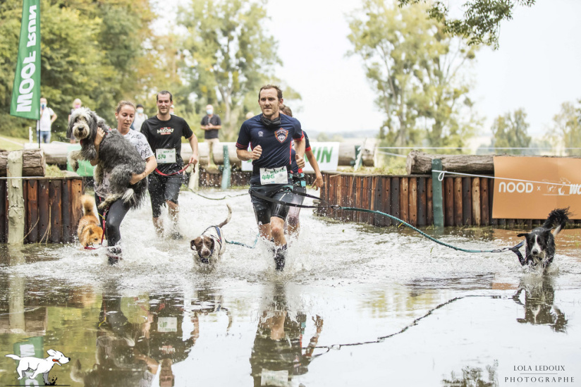 Woof Run 2021, l'évènement sportif pour les amoureux des chiens dans l'Oise